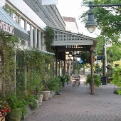 Northport