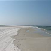 Dauphin Island-Sand Island Beach