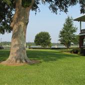 Hill Ranch