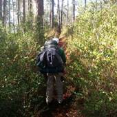 Conecuh National Forest-Feb.2013 Photos
