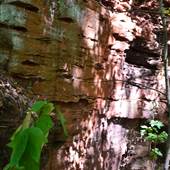 Ruffner Mountain: Iron Ore Mine Entrance
