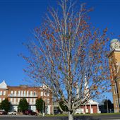 Centerville- Courthouse Square