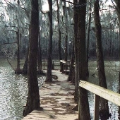 Cresent Lake