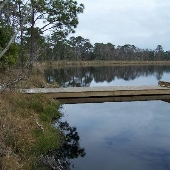 Little Lake Pier- Gulf State Park