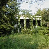 Dixonia