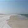 Dauphin Island-Sand Island Beach