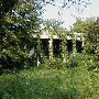 Dixonia