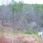 Cash Land-Dekalb County