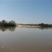 Gravine Island-Mobile Tensaw River