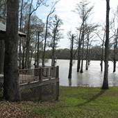Live Oak Landing
