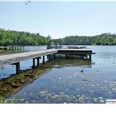 Lay Lake  Shelby County