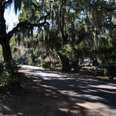 Live Oak Cemetary