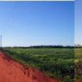 Campbell Fields