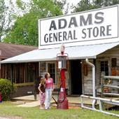 Pioneer Museum of Alabama