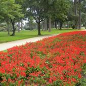 Fairhope-South Mobile Street Park