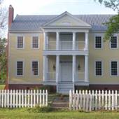 Black Thistle/AKA Underwood Plantation
