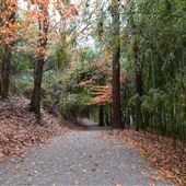 Wilderness Park