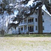 Shaw Plantation