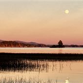 Islands, Weiss Lake