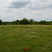 Meadowview Farms-Field where Shack was located