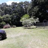 Southern Cabin Charm