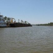 Boats on Wolf Bay