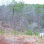 Cash Land-Dekalb County