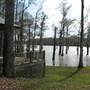 Live Oak Landing