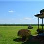 Shaw Farm- Tenent Homes/2