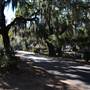 Live Oak Cemetary