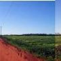 Campbell Fields
