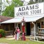 Pioneer Museum of Alabama