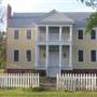 Black Thistle/AKA Underwood Plantation