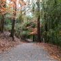 Wilderness Park