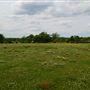 Meadowview Farms-Field where Shack was located