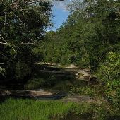 Cosby Creek
