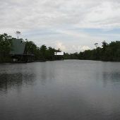 Bayou Sara Creek
