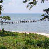 Fairhope Bluff View