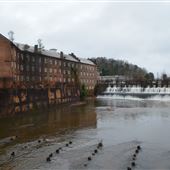 The Mill