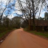 Robinsons Switch- Dirt Road/ Buildings