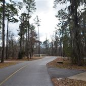 Gunter Hill Park