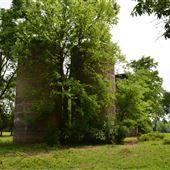 Meadowview Farms-Outbuildings/Silos
