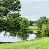 Harris Farm