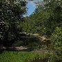 Cosby Creek