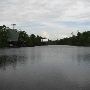 Bayou Sara Creek