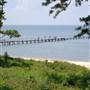 Fairhope Bluff View
