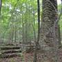 Oak Mountain: CCC Shacks