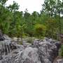 Oak Mountain State Park: Rock Garden