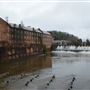The Mill