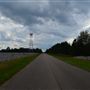 Cotton Fields